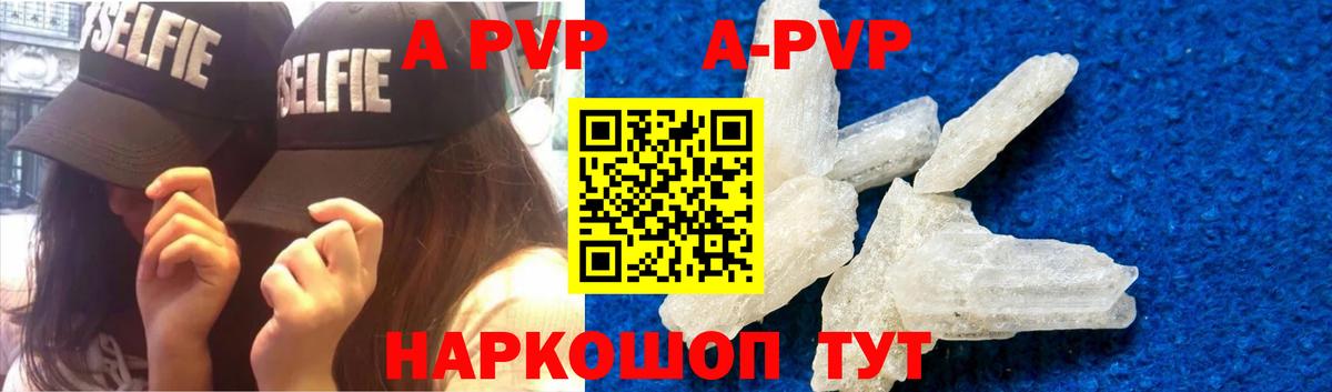 A PVP СК Фролово