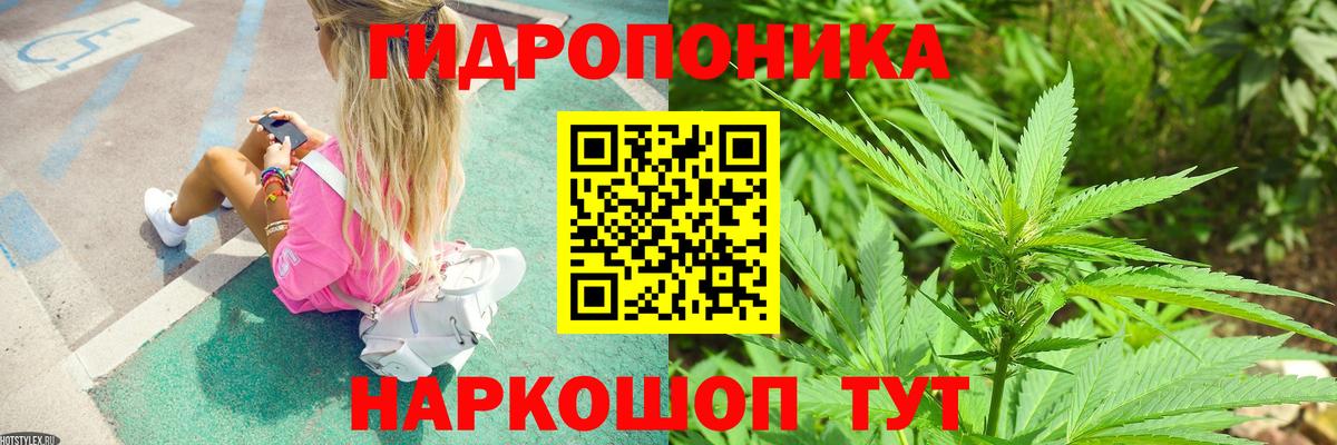 Шишки марихуана Amnesia Фролово